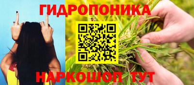 спиды Дубна