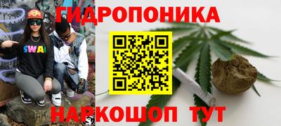 спиды Дубна