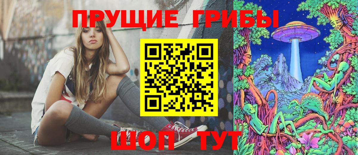 Псилоцибиновые грибы GOLDEN TEACHER Мичуринск