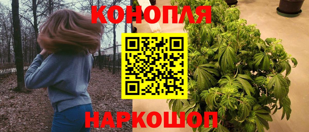 Каннабис план Мичуринск